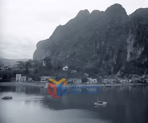 Ảnh 16