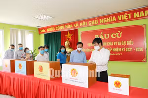 Ảnh 16