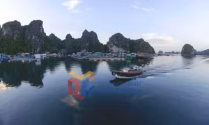 Ảnh 6