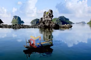 Ảnh 9