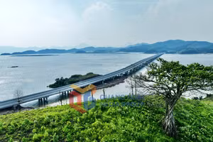 Ảnh 15