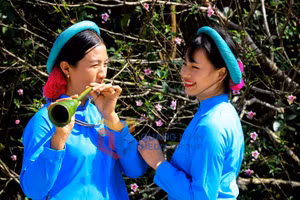 Ảnh 9