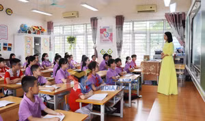 Ảnh 21