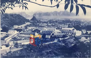 Ảnh 2
