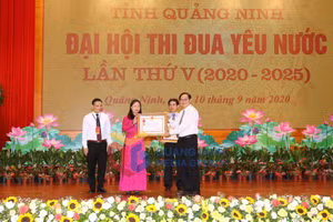 Ảnh 10