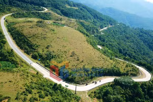 Ảnh 1
