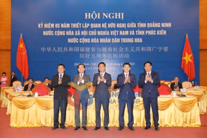 Ảnh 3
