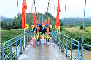 Ảnh 9