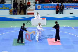 Ảnh 12