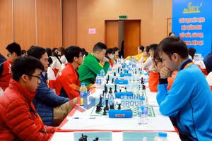 Ảnh 14