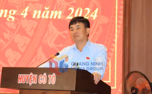 Ảnh 3