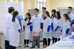 Ảnh 26