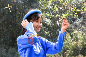 Ảnh 7