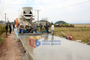 Ảnh 7