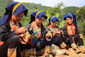 Ảnh 14