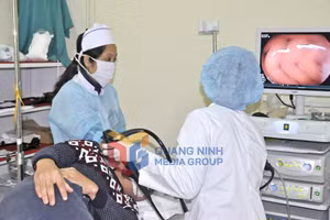 Ảnh 4