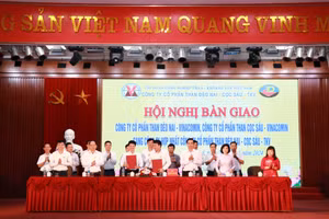 Ảnh 1