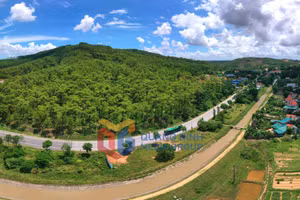 Ảnh 6