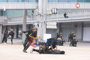 Ảnh 12