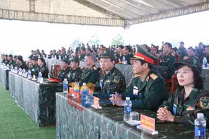 Ảnh 16