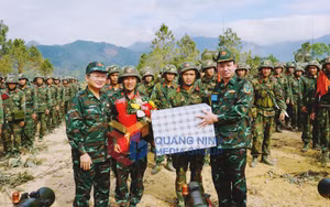 Ảnh 29