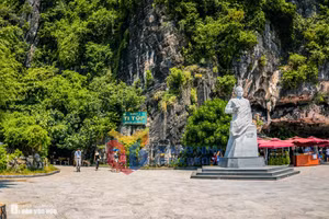Ảnh 11
