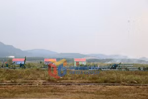 Ảnh 17