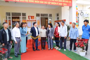 Ảnh 7