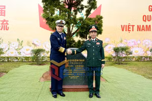 Ảnh 5