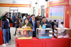 Ảnh 16