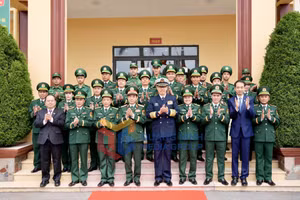 Ảnh 16