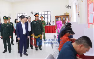 Ảnh 1