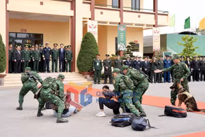 Ảnh 14