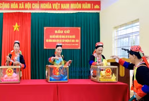 Ảnh 7