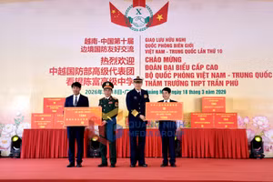 Ảnh 12