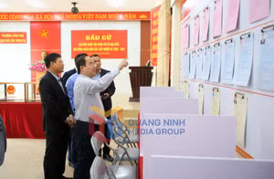 Ảnh 24