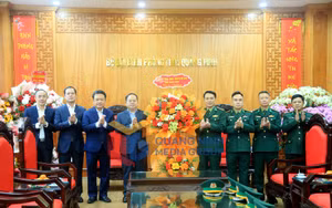 Ảnh 2