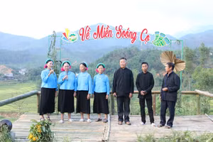 Ảnh 2