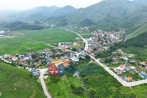 Ảnh 1