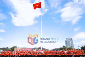 Ảnh 7