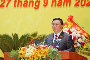 Ảnh 17