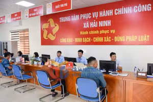 Ảnh 2