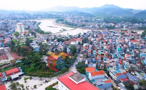 Ảnh 2