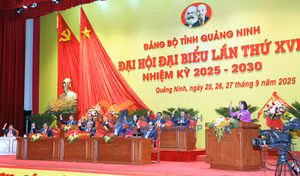 Ảnh 32