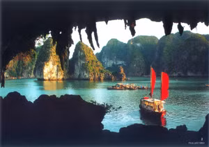 Ảnh 7