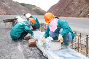 Ảnh 10
