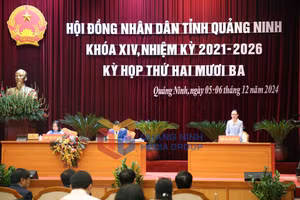 Ảnh 5