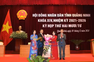 Ảnh 5
