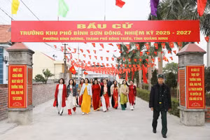 Ảnh 12