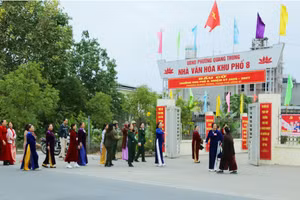 Ảnh 16